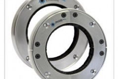 Aegis Bearing Protection rings